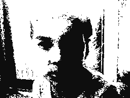 Untitled_Flipnote.MP4