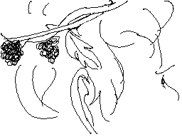 Recommended Flipnote Thumbnail