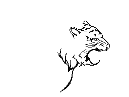 tiger tatoo