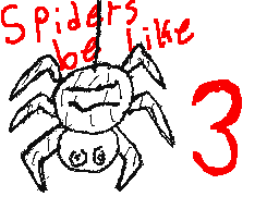 spiders be like 3