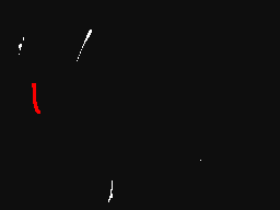 parachuting with fuzz the cat