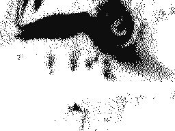 Flipnote di Leo shinx