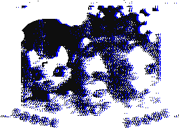 Recommended Flipnote Thumbnail