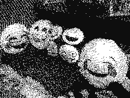 Flipnote by ♥Lucas♥