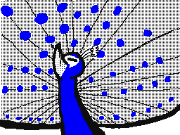 WT: Peacock