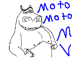 moto moto