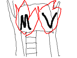 The Pantaloon MV [forest fic]