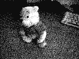 Teddy ❤️love❤️