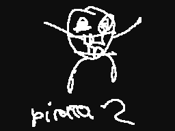 Pirata 2