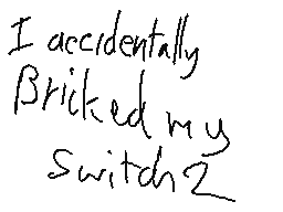 I bricked my Switch 2