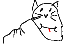 Pablo's profile picture