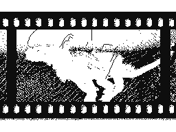 Flipnote di squire xl😃