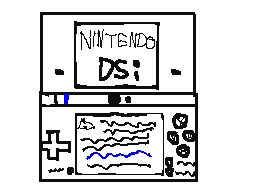 Nintendo DSi Startup