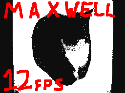 Maxwell the Cat