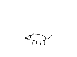 A speed-drawing of a dog.