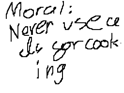 NEVER use a DS for cooking