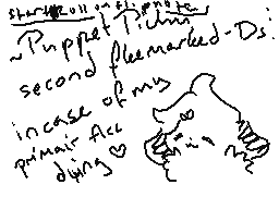 2nd DSi announcement