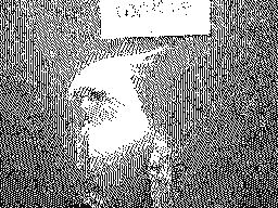 RayanDSi's profile picture