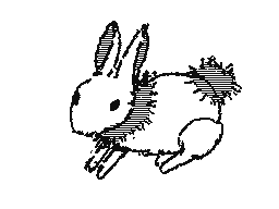 Rabbit