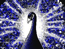 WT - Kaleidoscopic Peacock